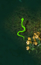 Coilkr.jpg