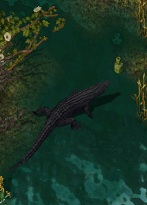 Thrasherkr.jpg
