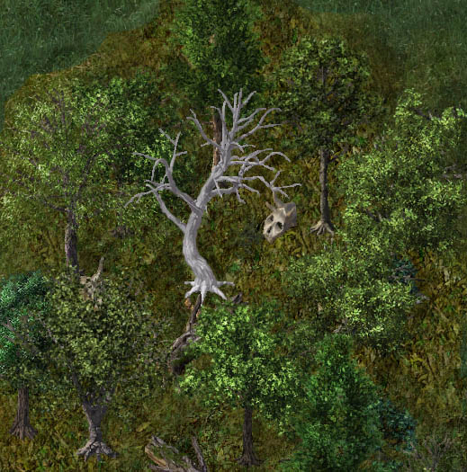 Albino treekr.jpg