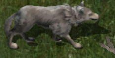 Grey wolfkr.png