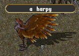 Harpy.jpg