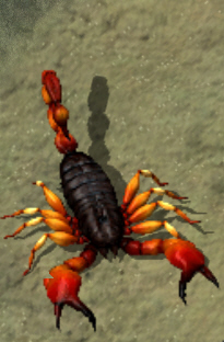 Scorpionkr.jpg