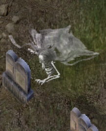 Shade1kr.jpg
