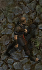 Meer warriorkr.png