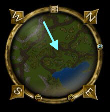 Damwin thicket map.jpg