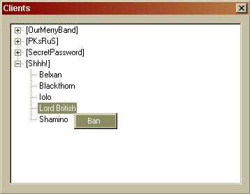 Uoam server client.jpg