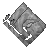 Cloth