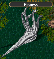 Abscess.gif