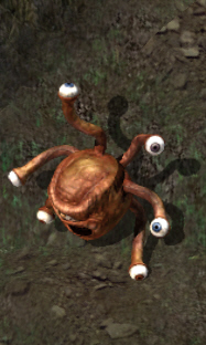 Gazerkr.jpg