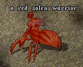 Solen warrior.jpg