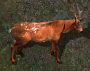 Great hartkr.png
