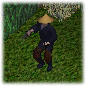 Guide ninja.png