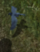 Warblerkr.png