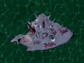 Plague Beast.png