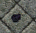 Void Fragment.png