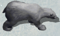 Polar bearkr.png