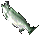 Fish 3.png