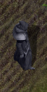 Dark guardiankr.jpg