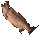 Mud puppy.png