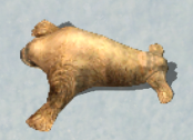 Walruskr.png