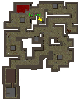 Fire level 2.jpg