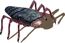 Fleshrenderer.png