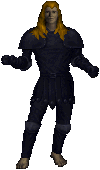 Assassin Armor Set.png