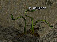 Corpser.jpg