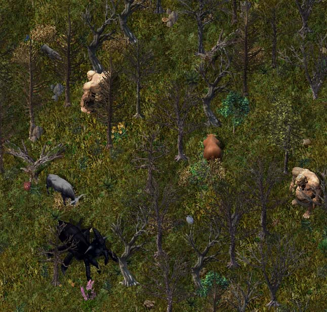 Windemere woodskr.jpg
