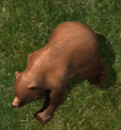 Black bearkr.png