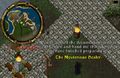 Mysterious healer the awakening.jpg