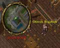 Shirron.jpg