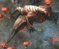 Wyvern1kr.jpg