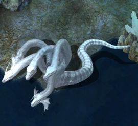Crystal hydra1kr.jpg
