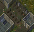 Thumbnail for version as of 13:17, 12 July 2008