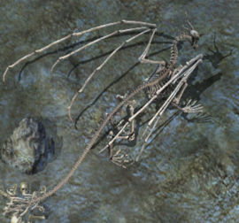 Skeletal dragon2kr.jpg
