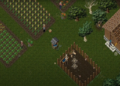Uonl farm.png