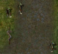 Thumbnail for version as of 23:53, 16 July 2008