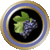 Napa Valley.gif