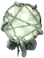 Ritual_table.png
