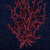 ThornyBriar.gif